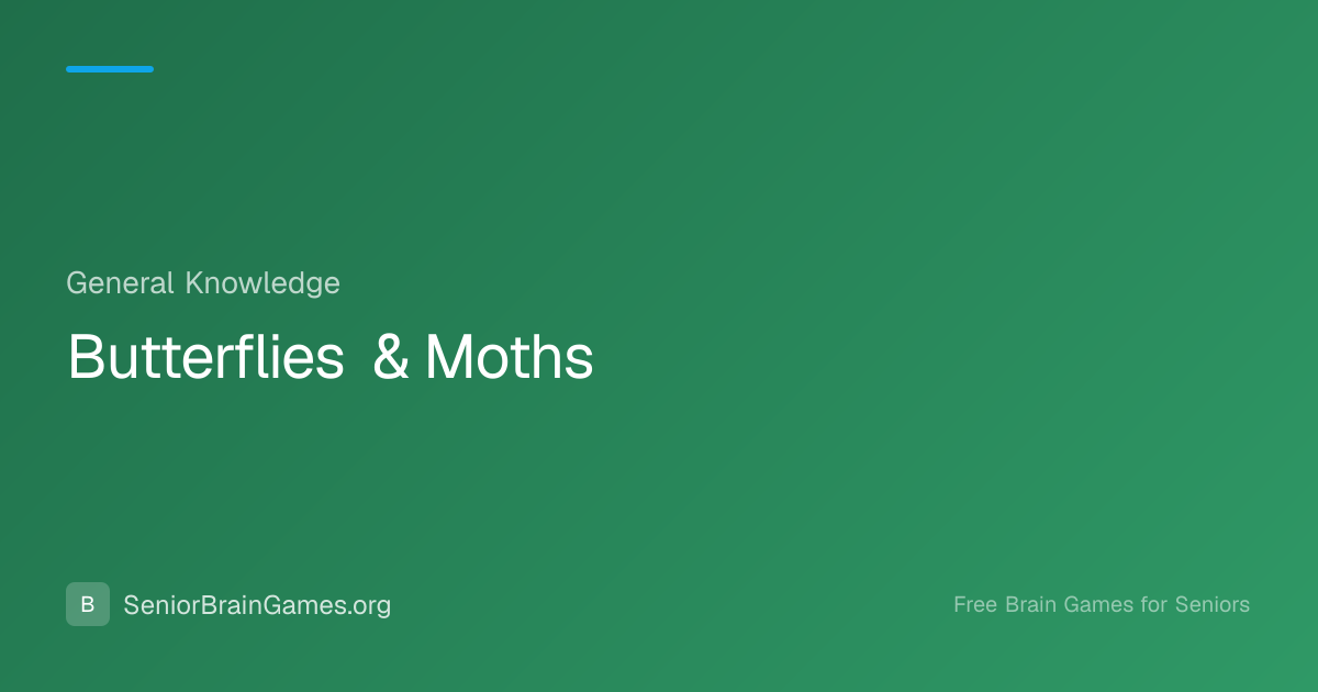 Butterflies & Moths | SeniorBrainGames